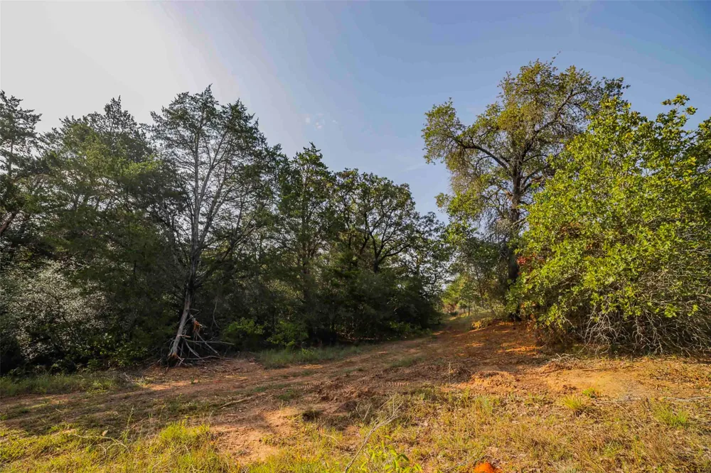 Stiewert Lane Paige, TX 78659