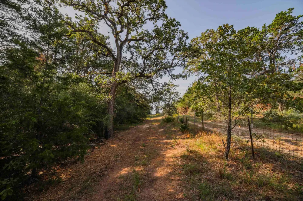Stiewert Lane Paige, TX 78659