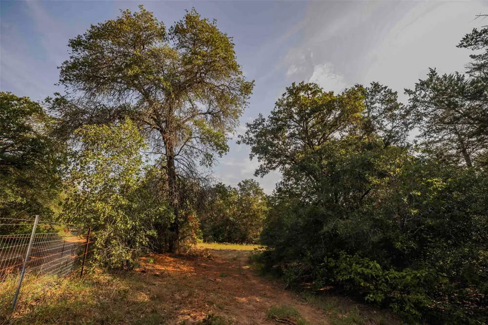Stiewert Lane Paige, TX 78659