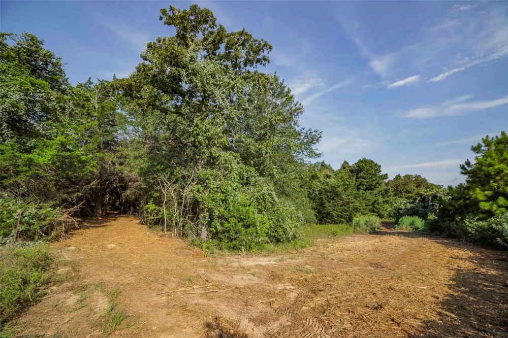 Stiewert Lane Paige, TX 78659
