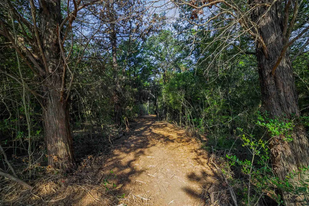 Stiewert Lane Paige, TX 78659