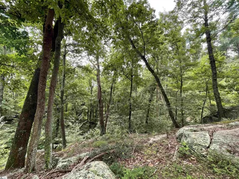0 Pine Shadow Lane