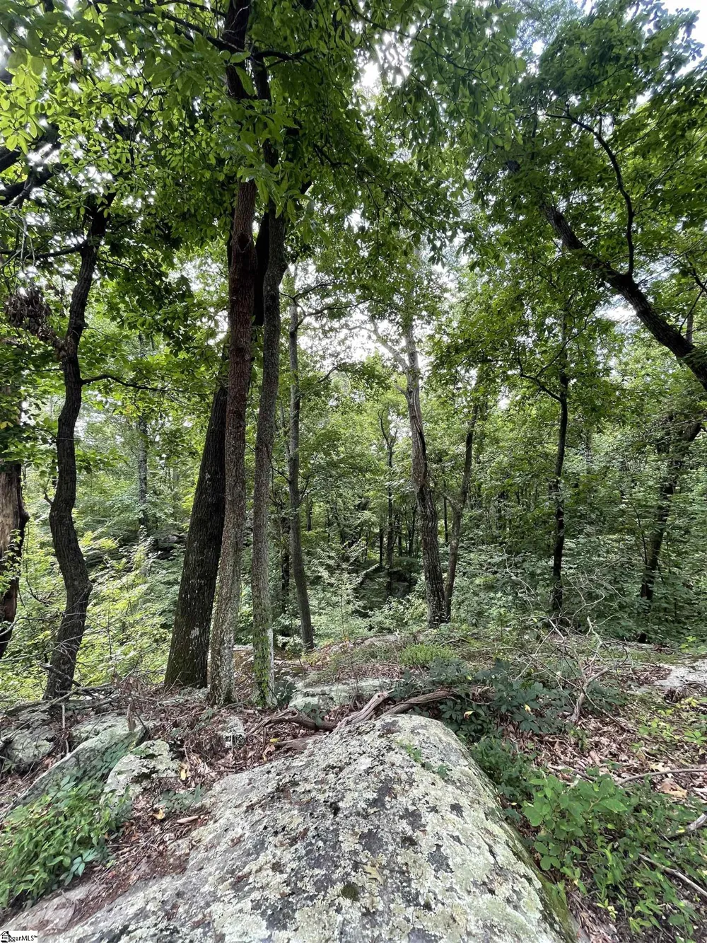 0 Pine Shadow Lane Landrum, SC 29356