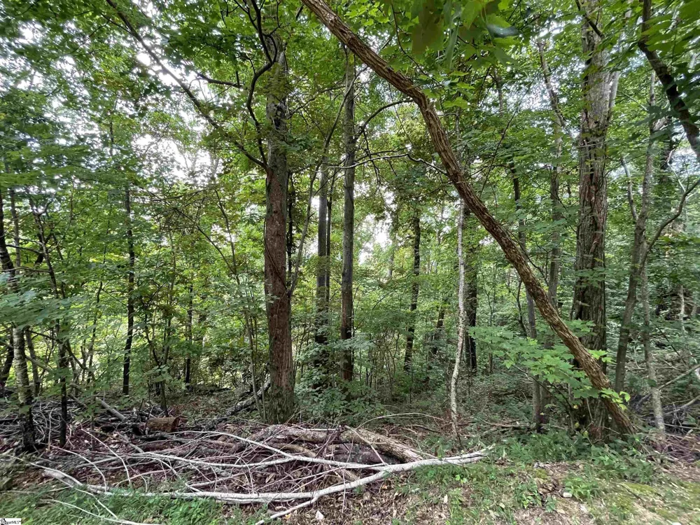 0 Pine Shadow Lane Landrum, SC 29356