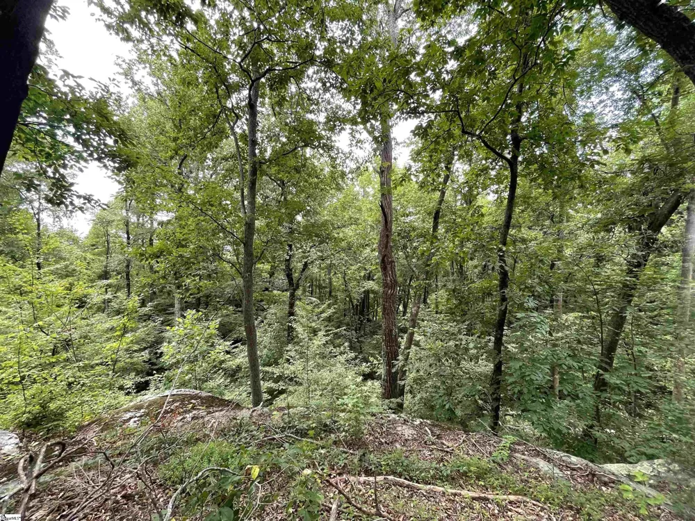 0 Pine Shadow Lane Landrum, SC 29356