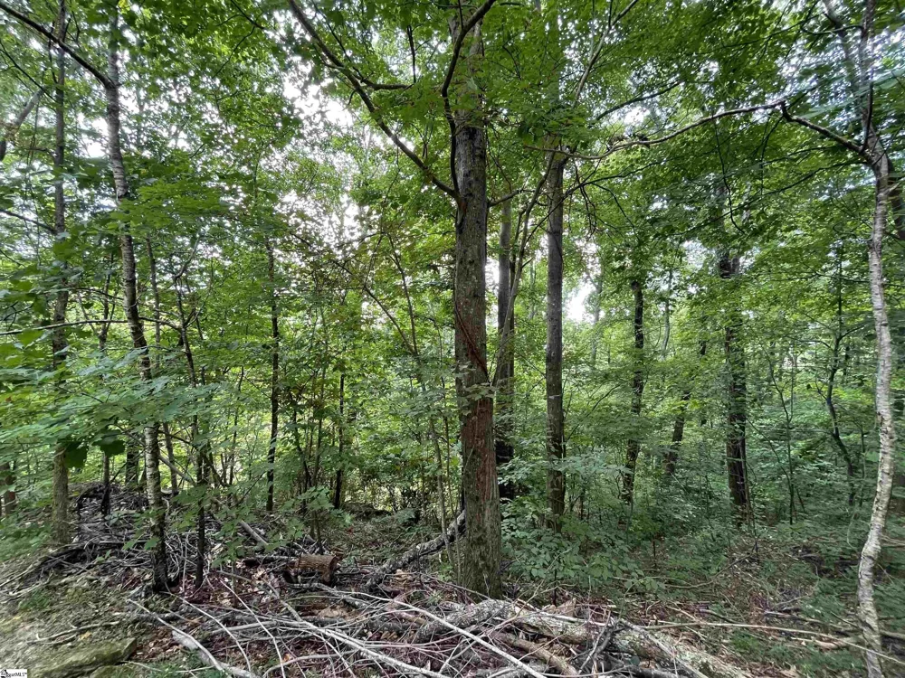 0 Pine Shadow Lane Landrum, SC 29356