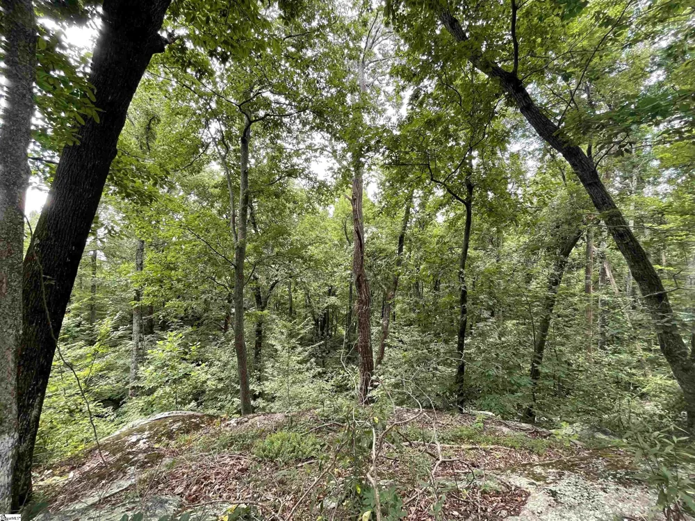 0 Pine Shadow Lane Landrum, SC 29356