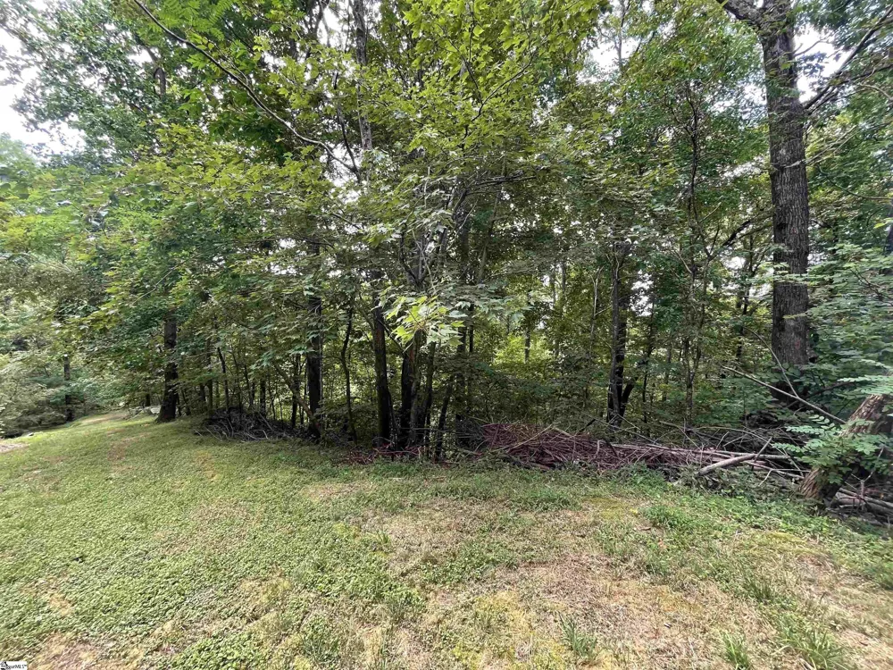 0 Pine Shadow Lane Landrum, SC 29356