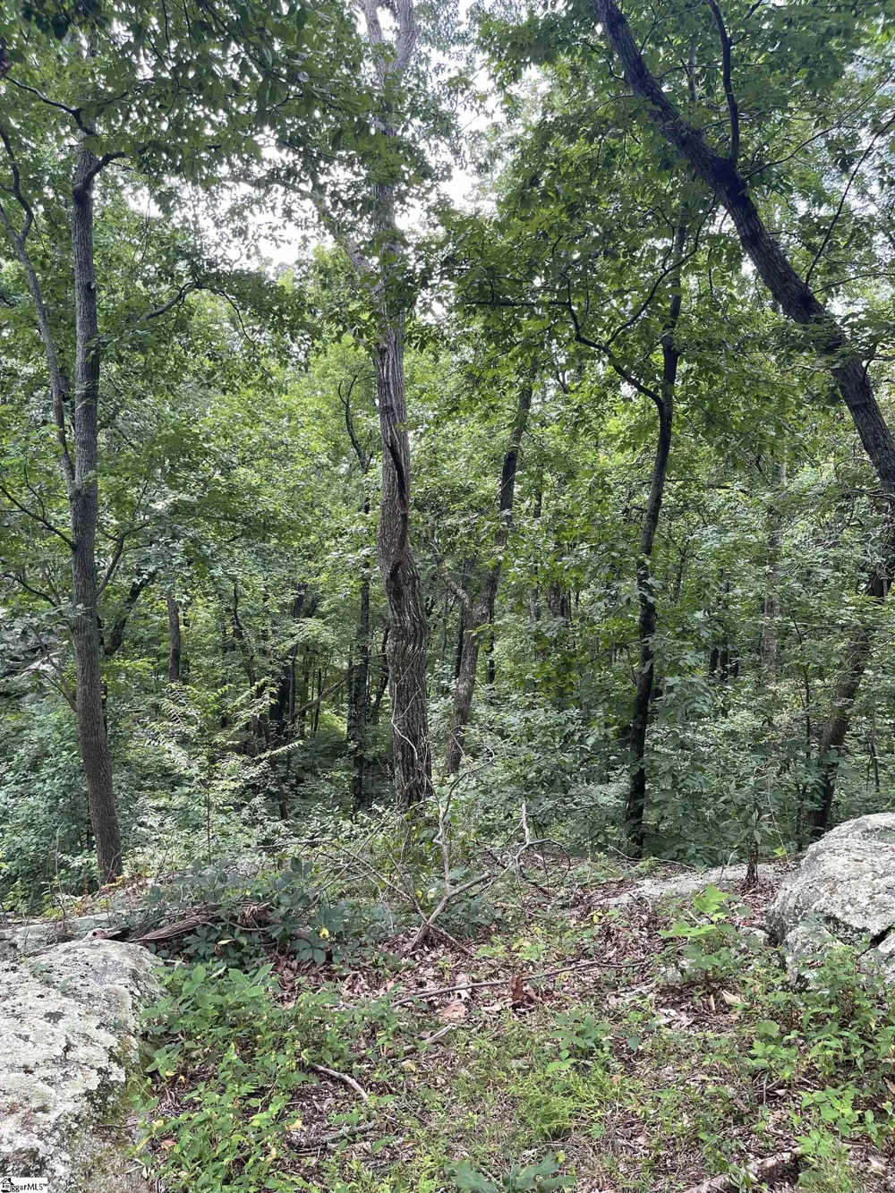0 Pine Shadow Lane Landrum, SC 29356