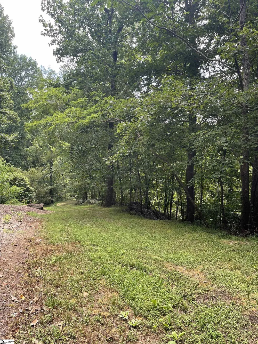 0 Pine Shadow Lane Landrum, SC 29356
