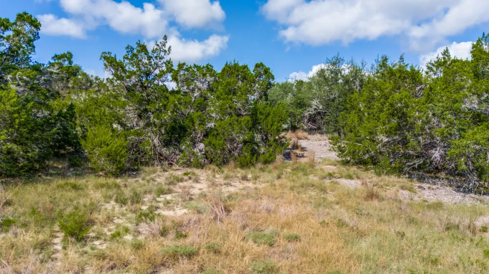 36 Prancing Deer Lane Johnson City, TX 78636