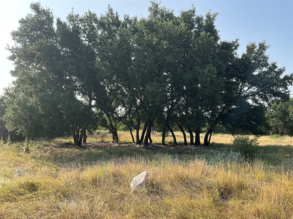 Address Not Shown San Saba, TX 76877