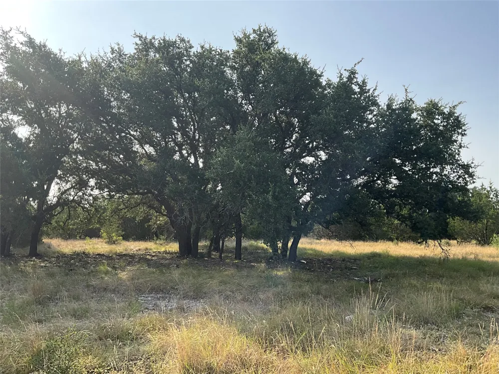 Address Not Shown San Saba, TX 76877