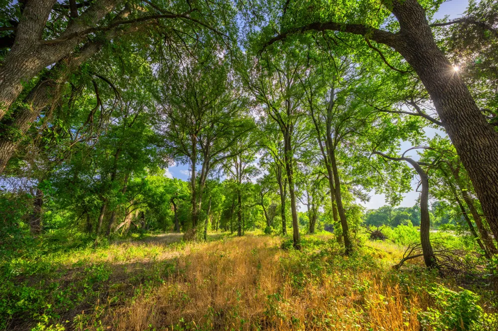 8606 Star Hollow Road Lipan, TX 76462