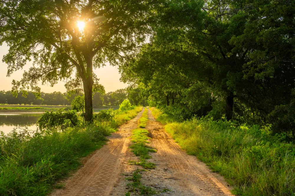8606 Star Hollow Road Lipan, TX 76462