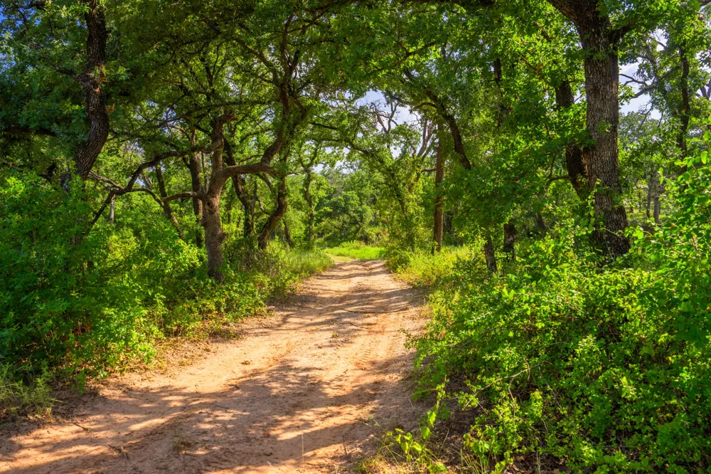 8606 Star Hollow Road Lipan, TX 76462