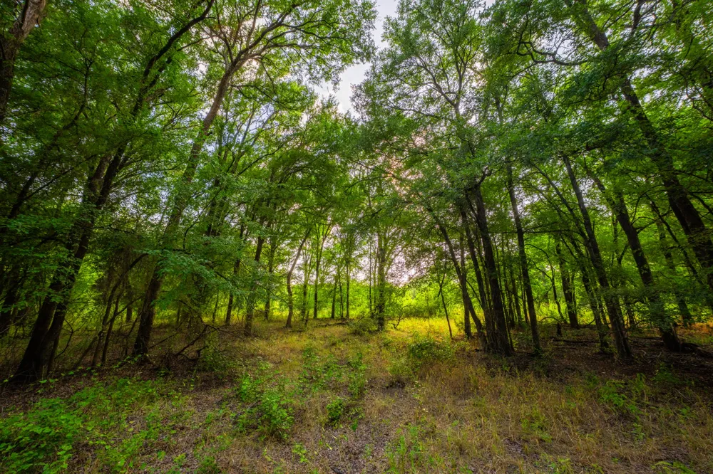 8606 Star Hollow Road Lipan, TX 76462