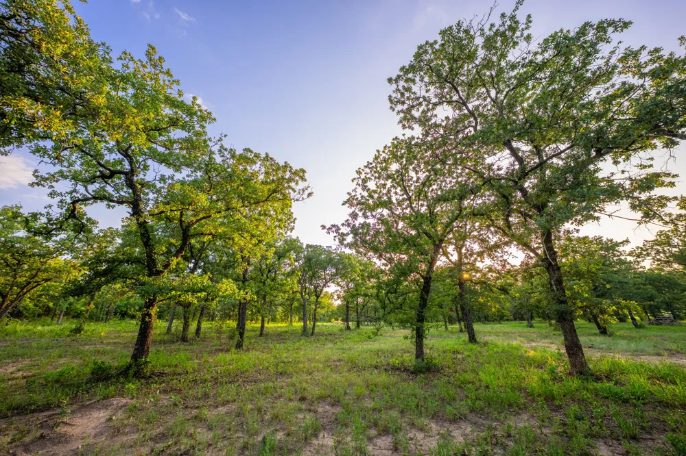 8606 Star Hollow Road Lipan, TX 76462
