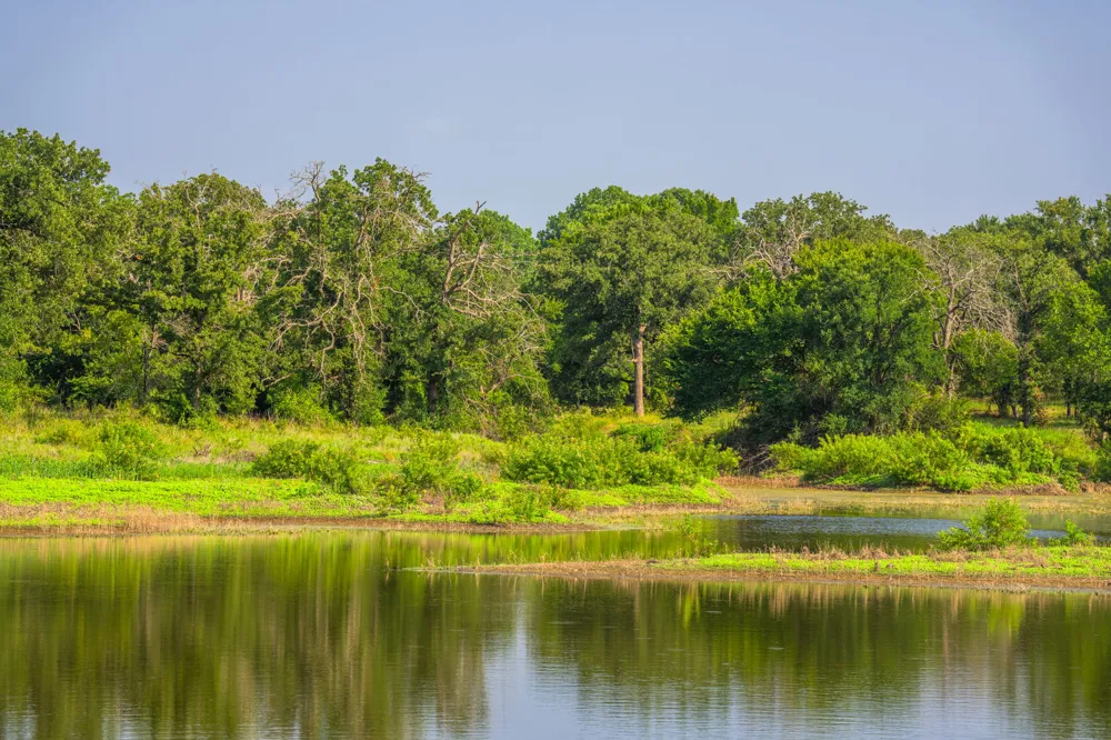 8606 Star Hollow Road Lipan, TX 76462