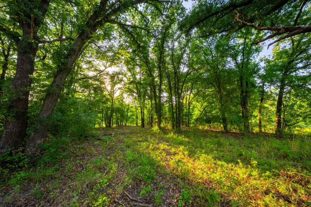 8606 Star Hollow Road Lipan, TX 76462