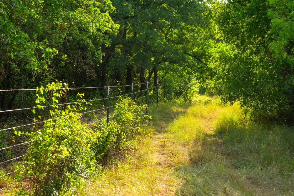8606 Star Hollow Road Lipan, TX 76462
