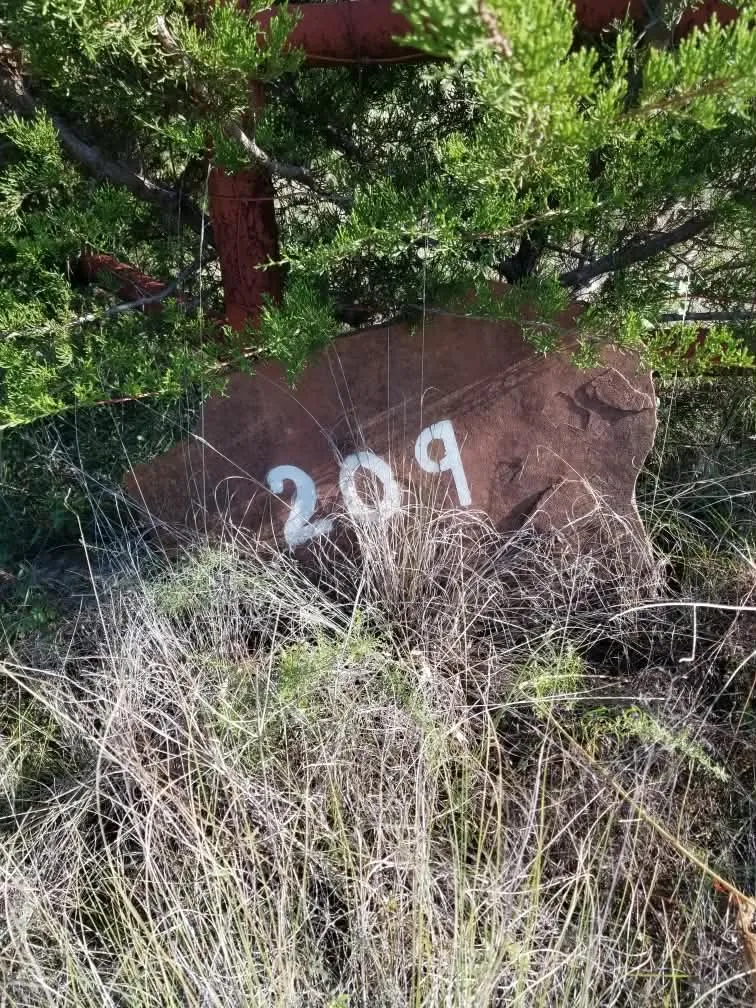 209 Sierra Vista Drive Gatesville, TX 76528