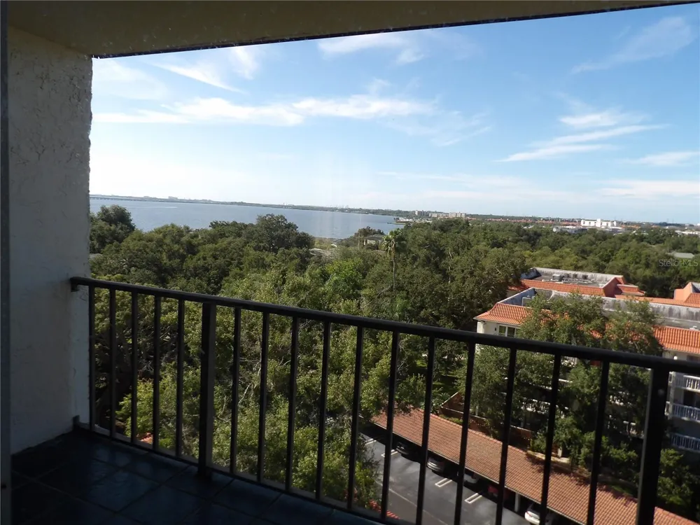 2699 SEVILLE BOULEVARD #802 Clearwater, FL 33764