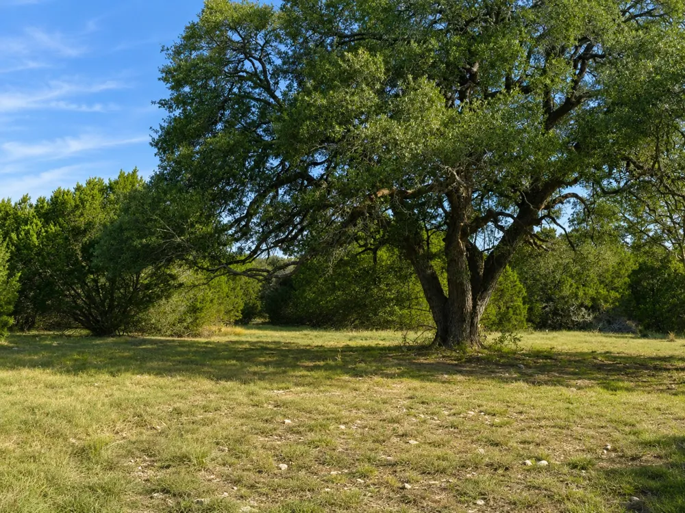 736 CR 206 Lampasas, TX 76550