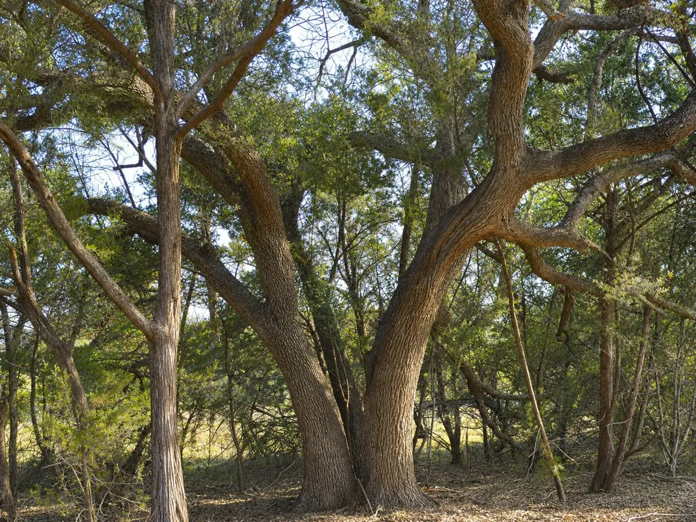 736 CR 206 Lampasas, TX 76550