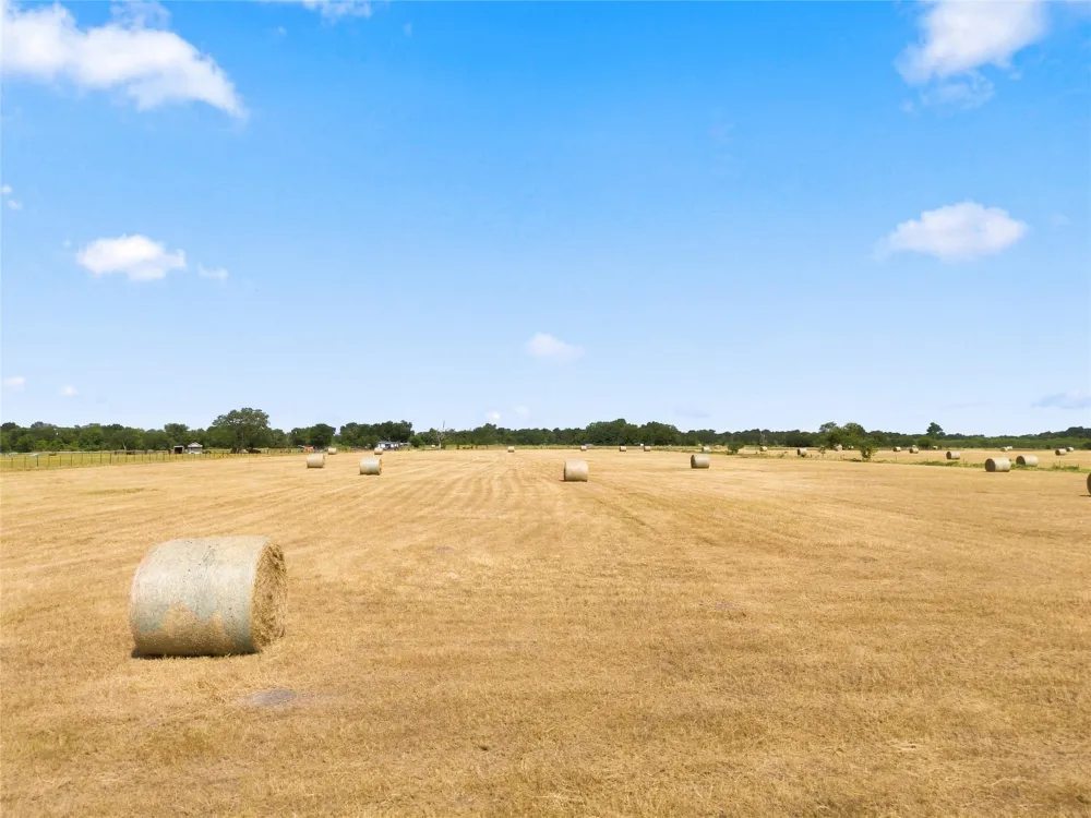 206 County Road 287 Marlin, TX 76661