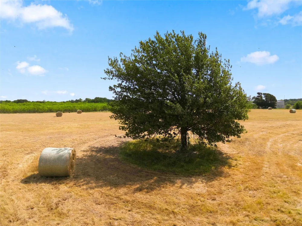 206 County Road 287 Marlin, TX 76661