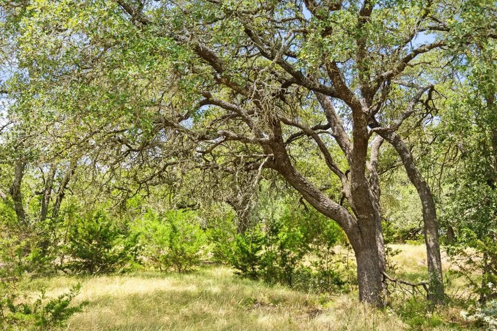 1984 Grape Creek Road Fredericksburg, TX 78624