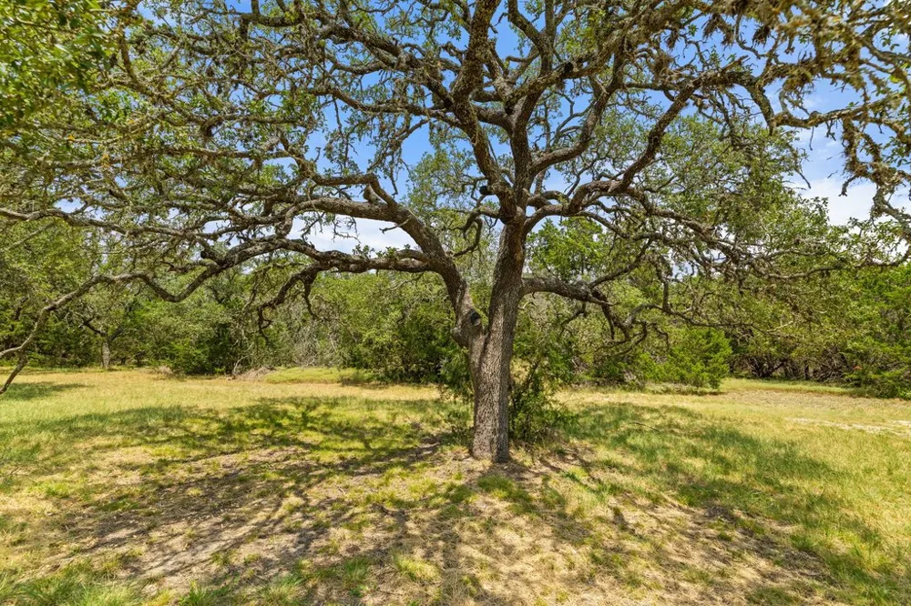 1984 Grape Creek Road Fredericksburg, TX 78624