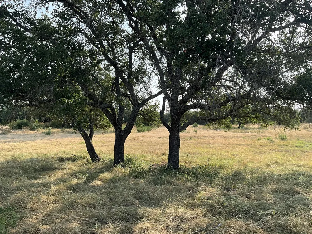 Address Not Shown San Saba, TX 76877