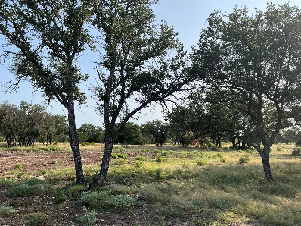 Address Not Shown San Saba, TX 76877