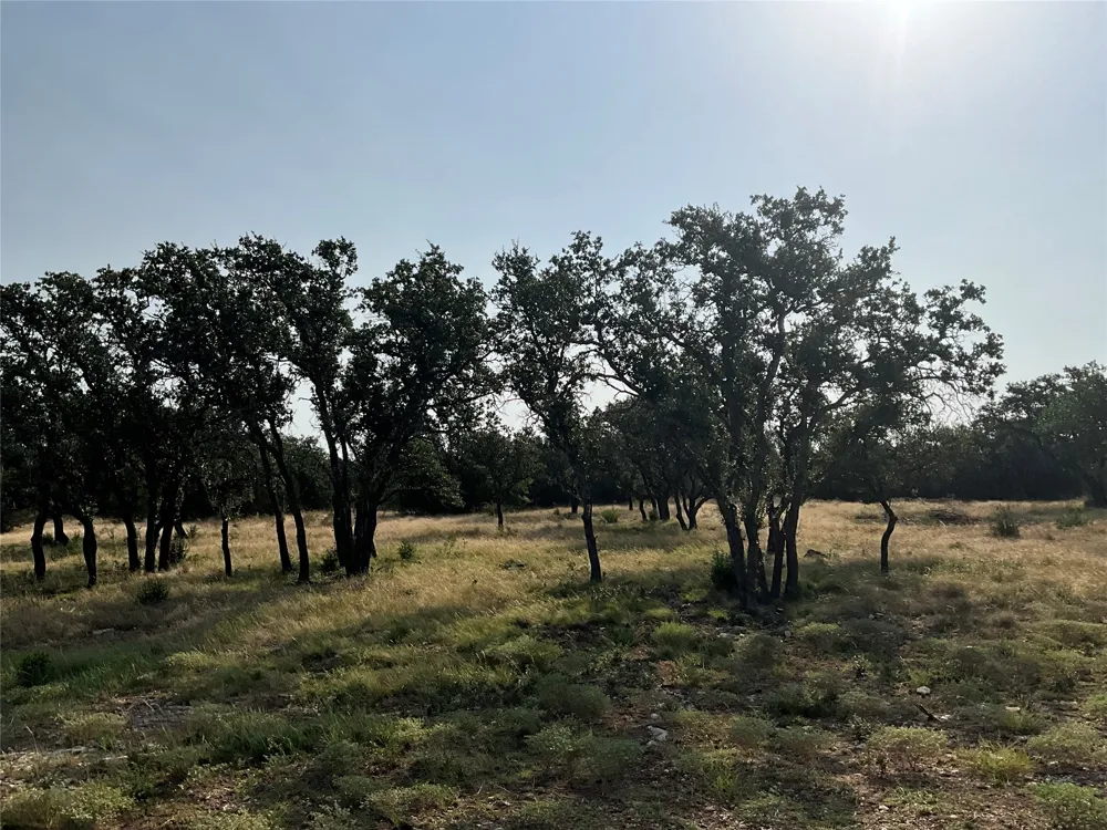 Address Not Shown San Saba, TX 76877