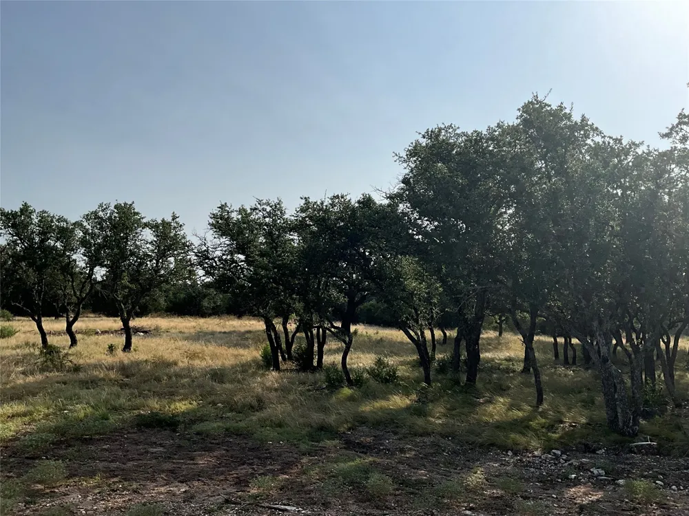 Address Not Shown San Saba, TX 76877