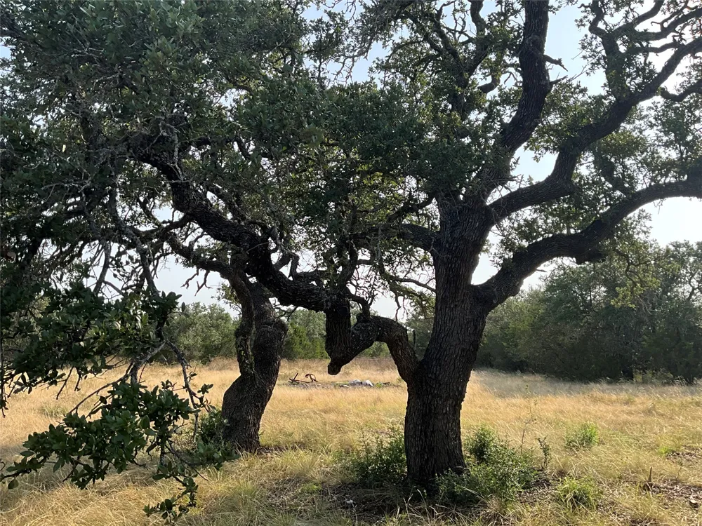 Address Not Shown San Saba, TX 76877