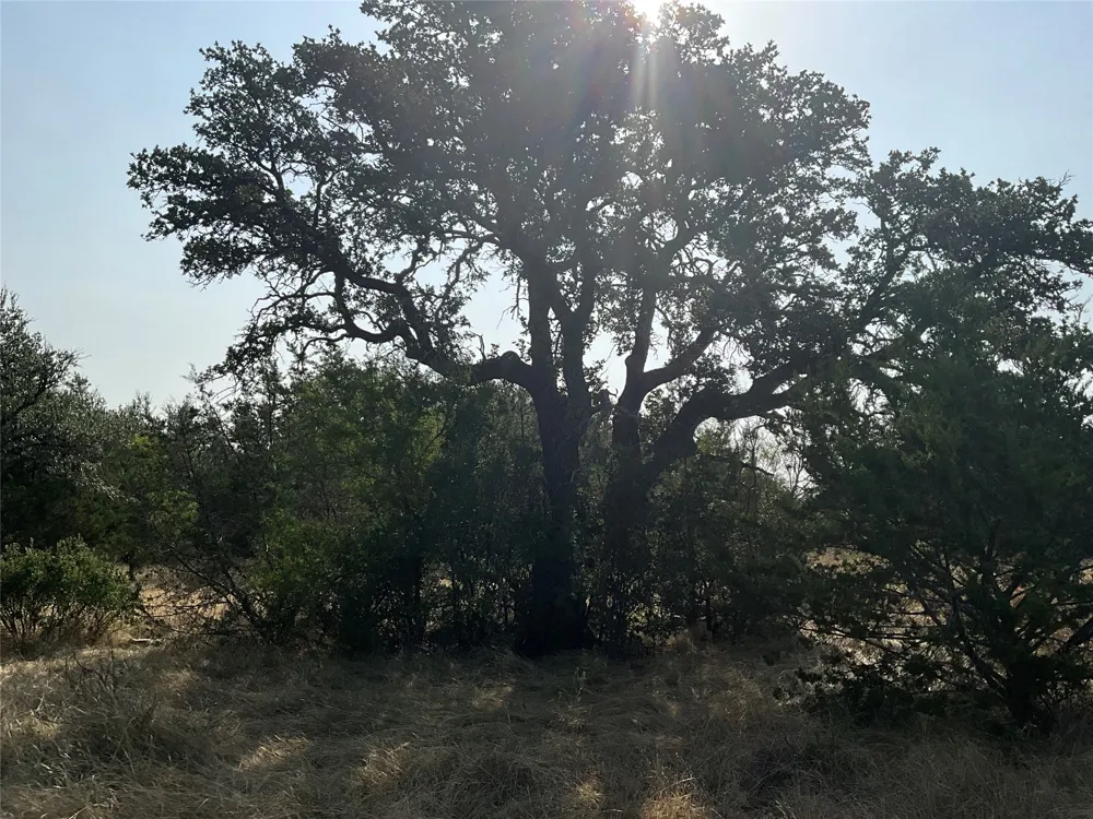 Address Not Shown San Saba, TX 76877
