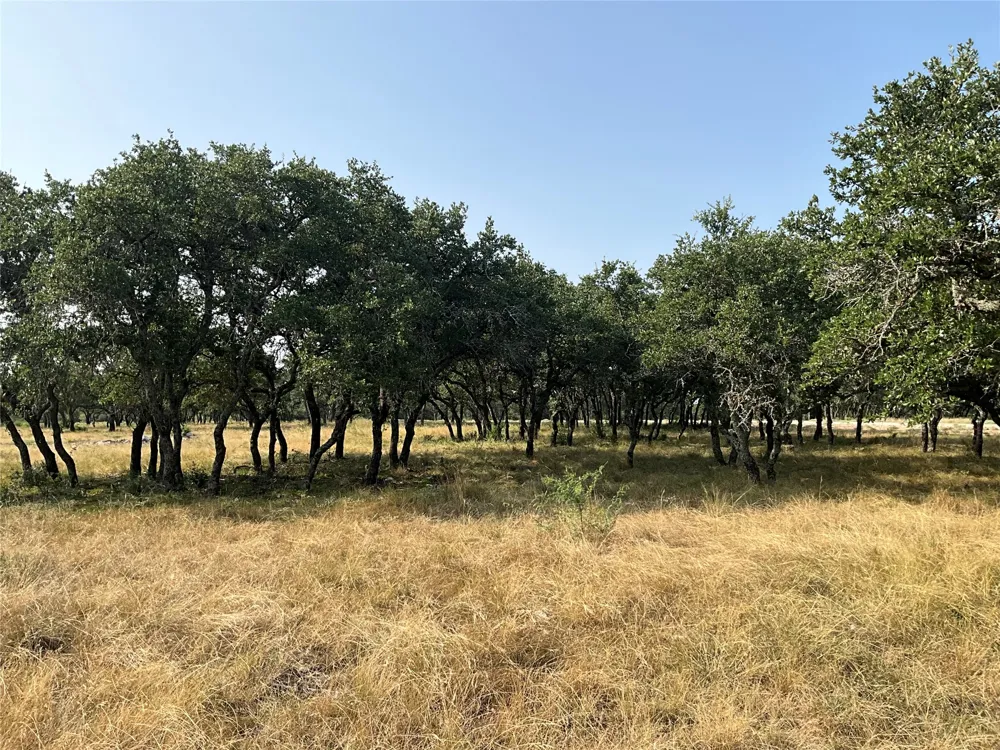 Address Not Shown San Saba, TX 76877