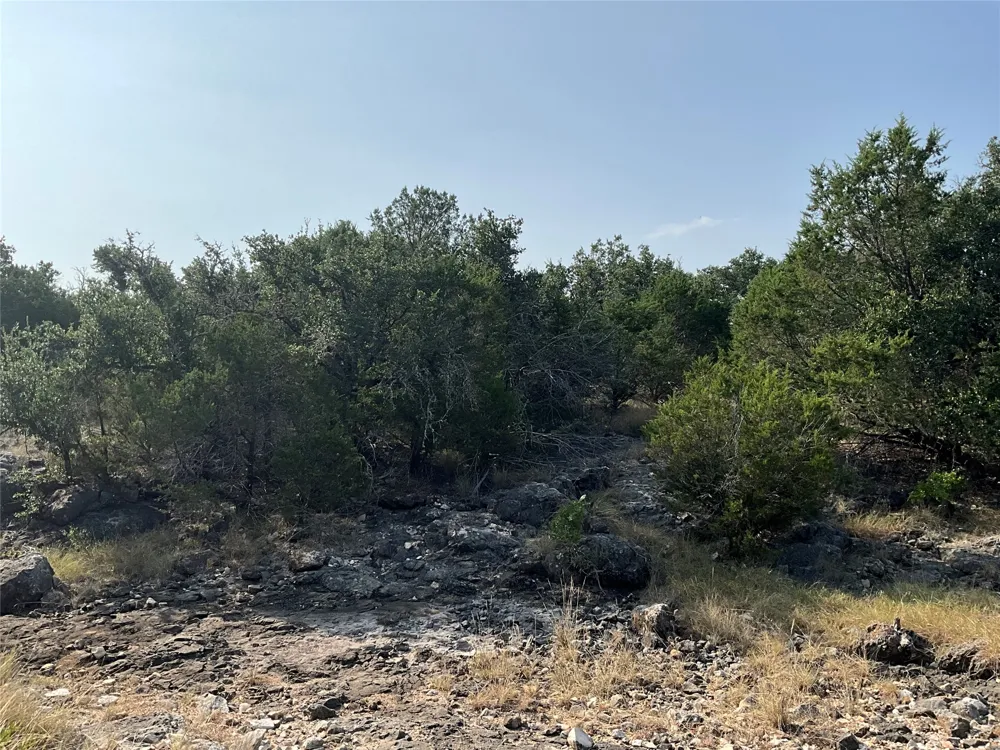 Address Not Shown San Saba, TX 76877