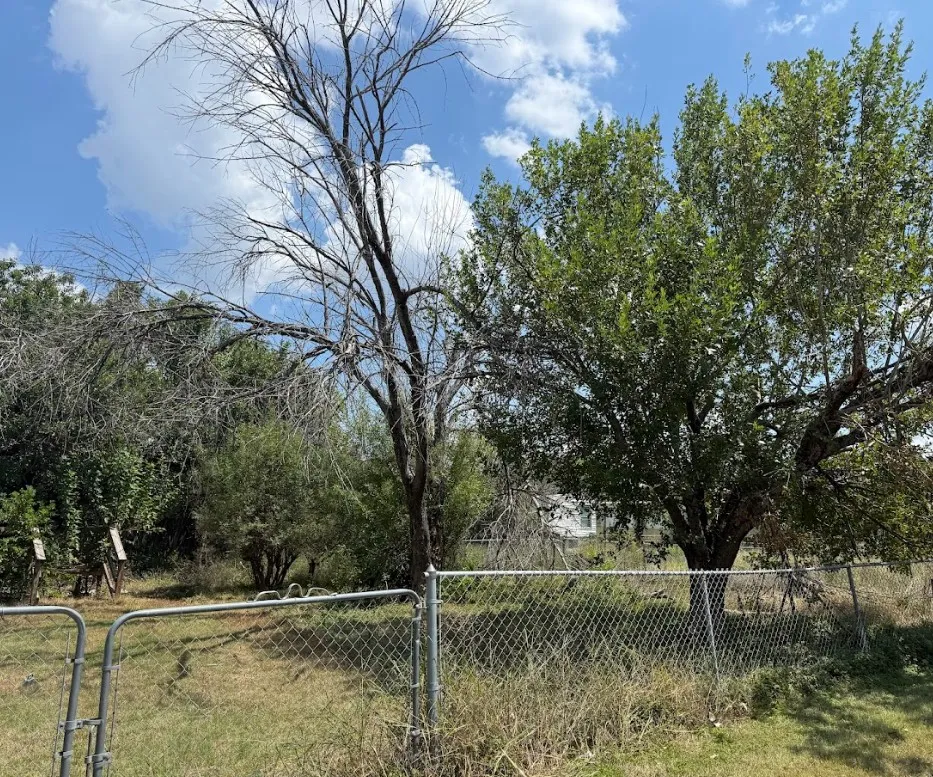 222 W Dogwood Street Nolanville, TX 76559