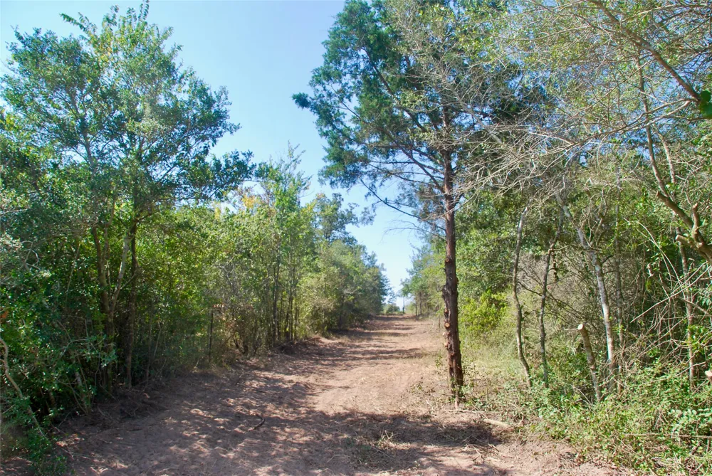 CR 426 Waelder, TX 78959