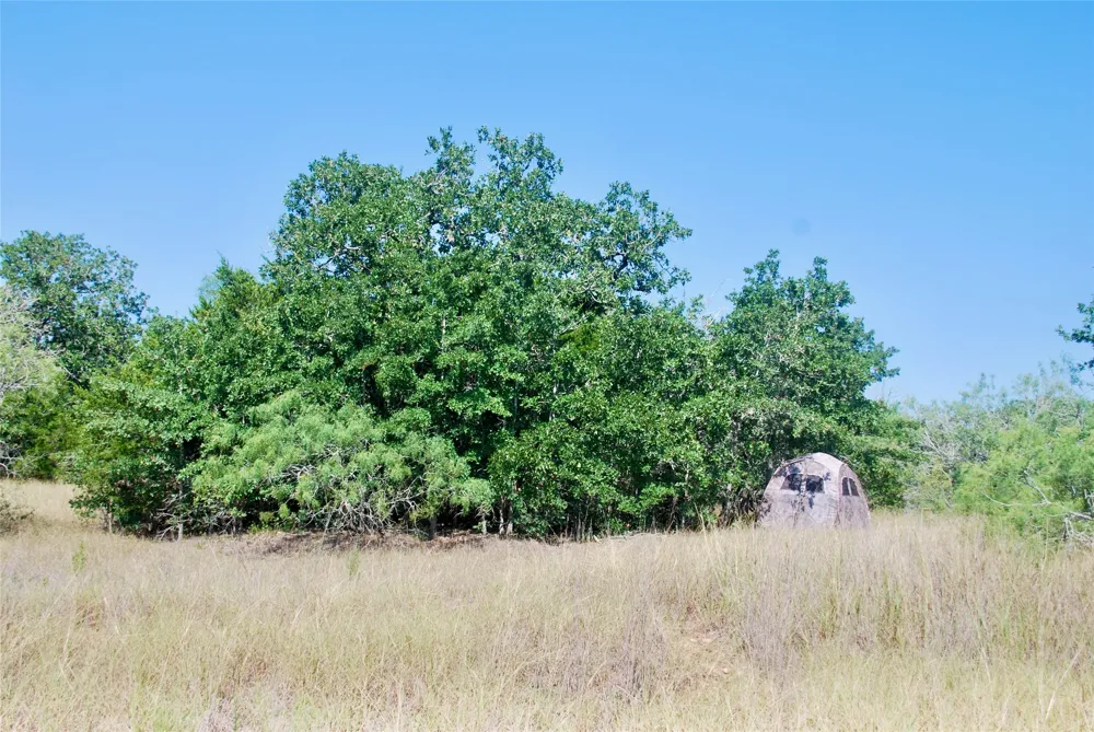 CR 426 Waelder, TX 78959