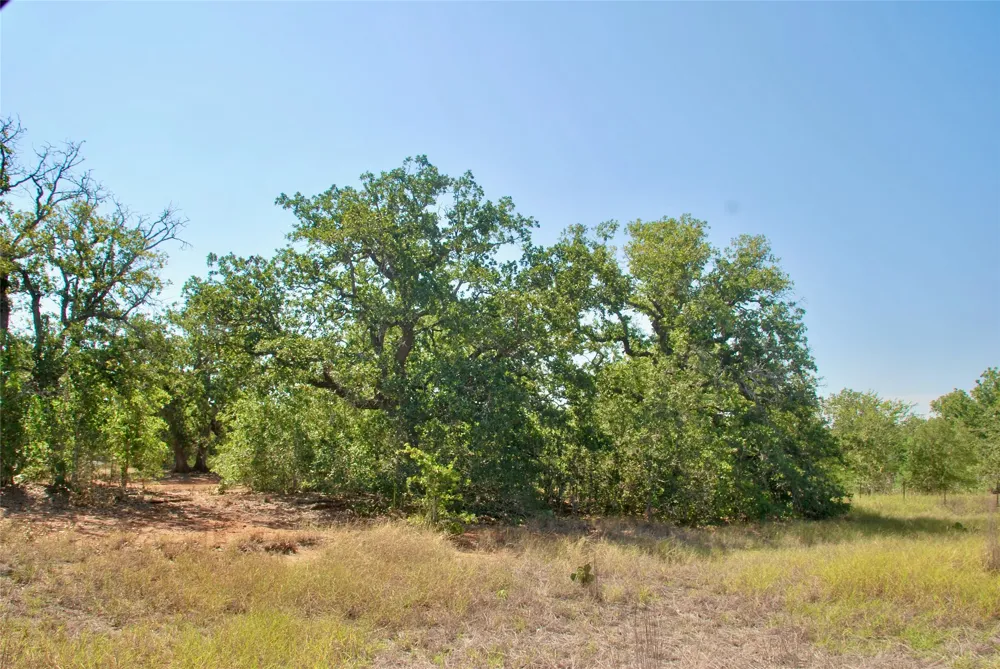 CR 426 Waelder, TX 78959