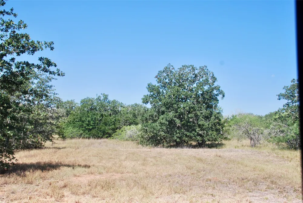 CR 426 Waelder, TX 78959