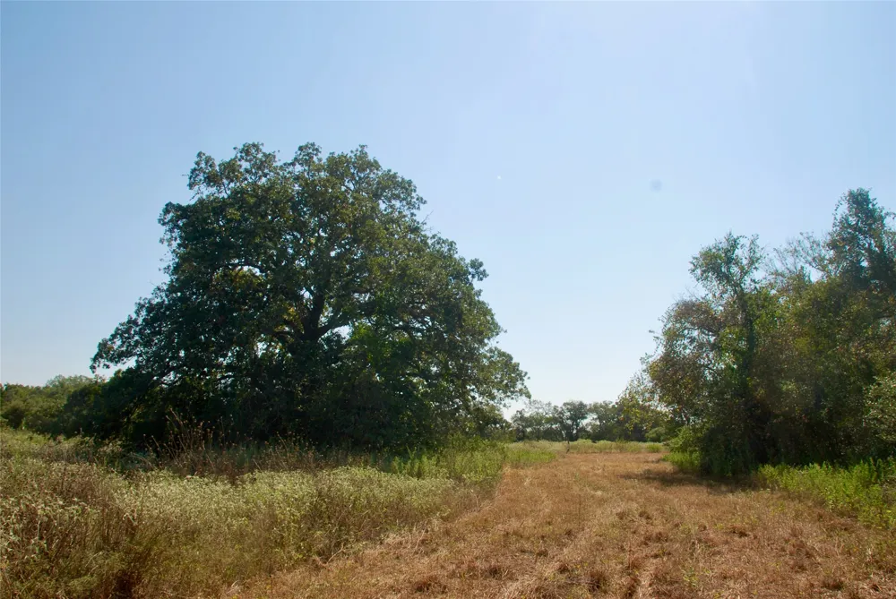 CR 426 Waelder, TX 78959