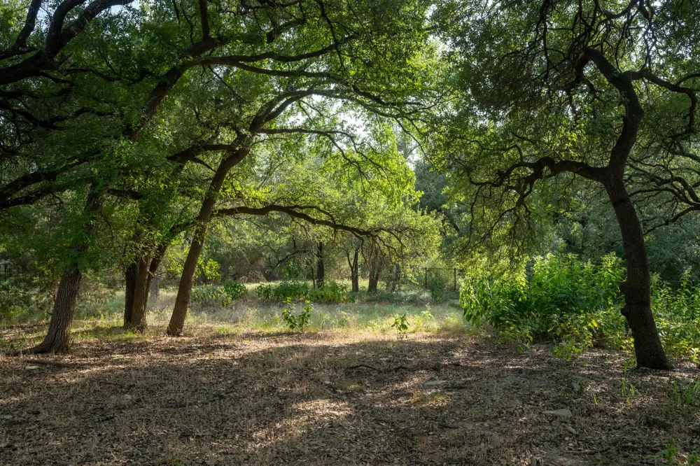 112 Davis Lane Georgetown, TX 78633