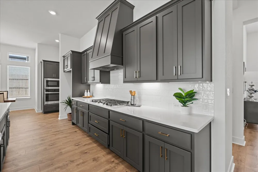 204 Firethorn Cove Marble Falls, TX 78654