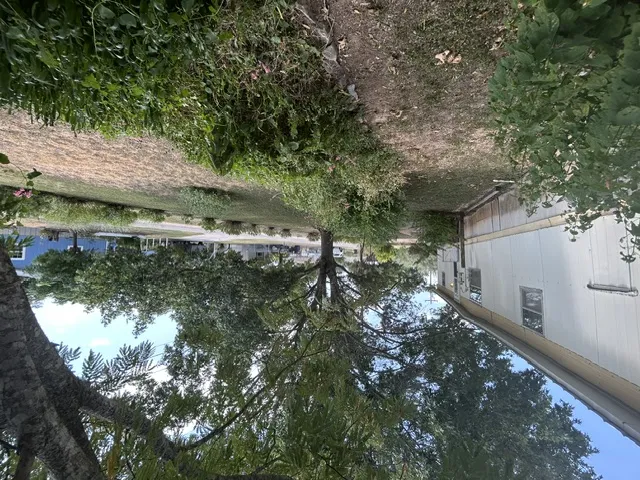 105 Elizabeth Drive Spicewood, TX 78669